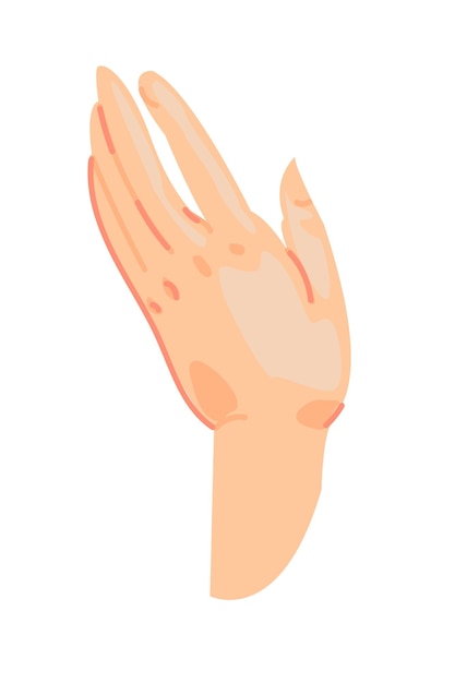 Vector illustration human hand hand drawing