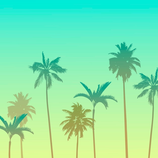 Вектор Векторное иллюстративное изображение пальм теплым летним вечером