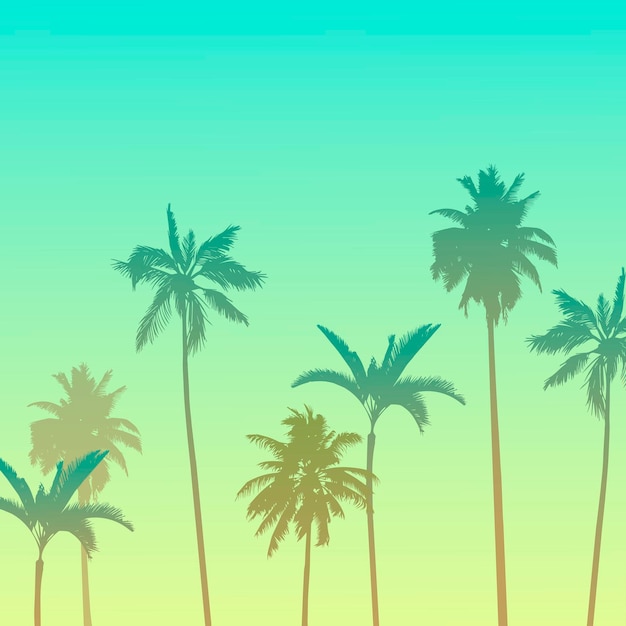 Vector vector illustration image of palm trees on a warm summer evening