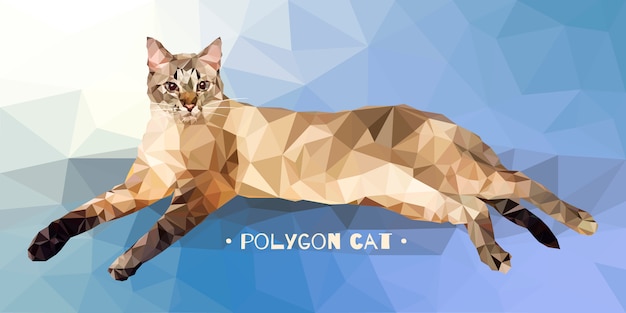 低ポリゴンスタイルのベクトル図です。色付きの背景上の猫。