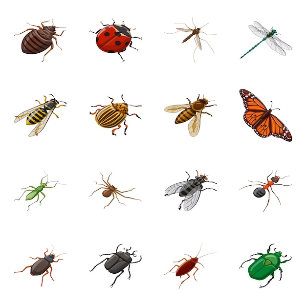 Векторная иллюстрация насекомых и летать иконы. Коллекция насекомых и энтомология набор