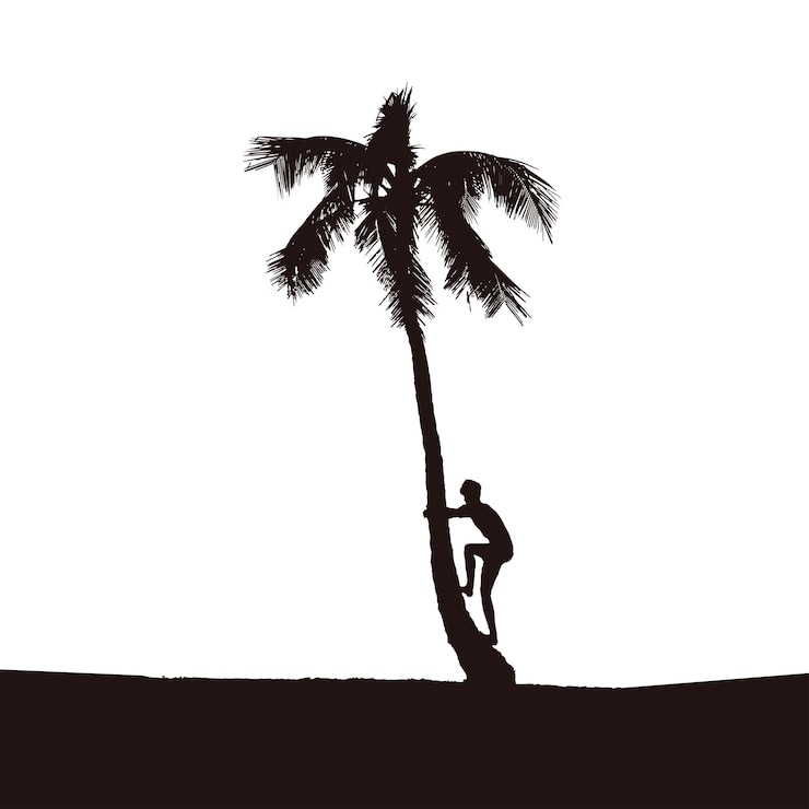 Vector vector illustration of island natives climbing palm trees for coconuts