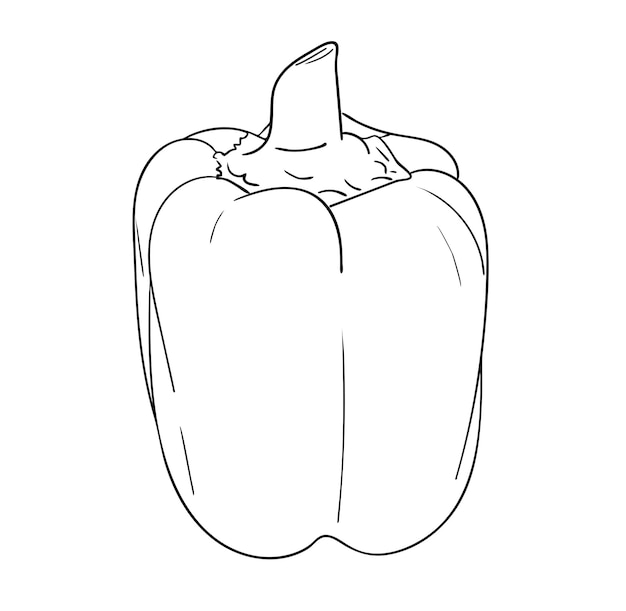Векторная иллюстрация, изолированные болгарский перец в черно-белых тонах, наброски оригинальный рисунок, раскрашенный вручную
