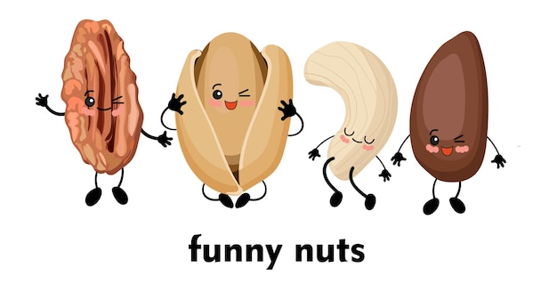 vector illustration isolated on white background. pili, cashew, pistachio and pine nuts.