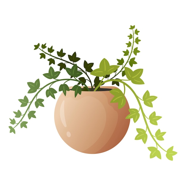 A vector illustration of ivy plant in a dark beige pot