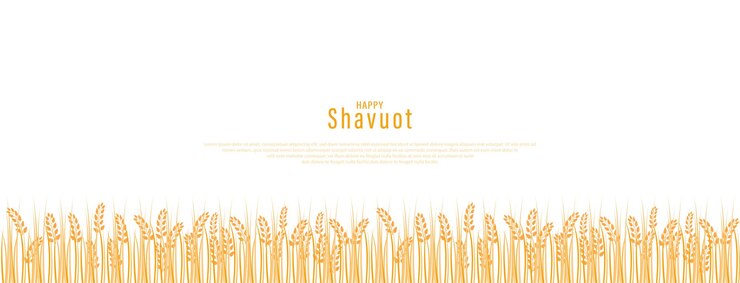 Vector vector illustration for the jewish holiday of shavuot. happy shavuot poster. sheaf of wheat ears.