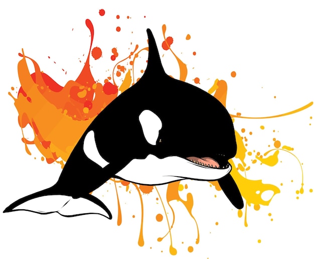 vector illustration of killer whale jumping out of water