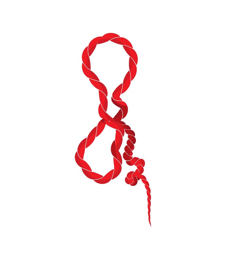 Vector vector illustration of knot