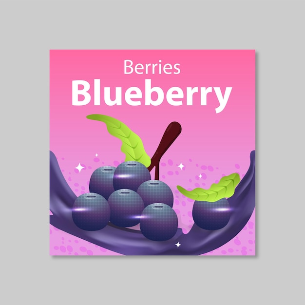 vector illustration label sticker of a blueberry with leaves