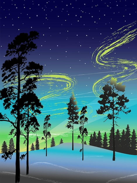 Vettore illustrazione vettoriale paesaggio con aurora boreale e poster di foresta