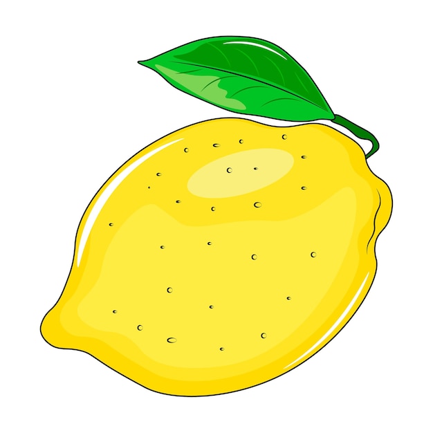 Vector vector illustration of lemon fruit