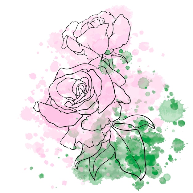 Vector illustration of line art rose flower on watercolor background