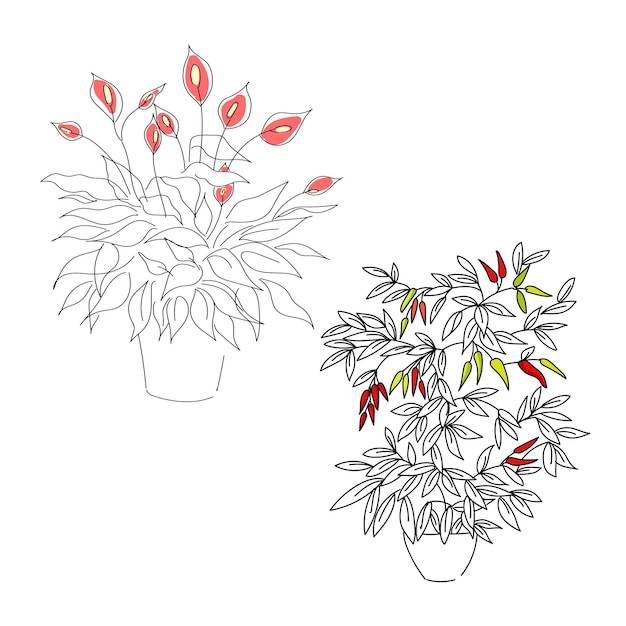 Vector illustration linear sketch set house plants one line and contour drawing on the white background