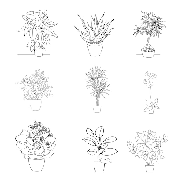 Vector illustration linear sketch set house plants one line and contour drawing on the white background