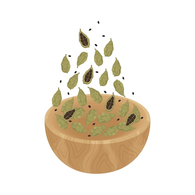 ベクトルイラストロゴ クリップアート levitation カルダモム