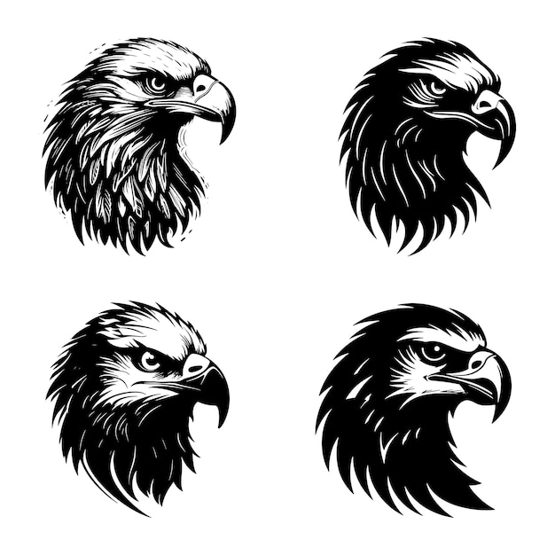 A vector illustration logo of eagle with white background