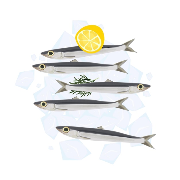 vector illustration logo fresh anchovies