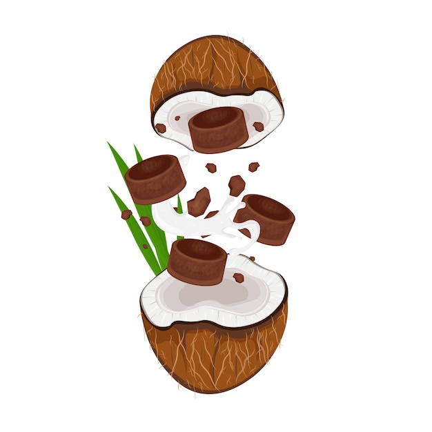 Vettore logo illustrativo vettoriale di zucchero giavanese o gula jawa con cocco