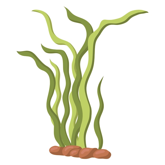 Vector illustration of long green algae isolated on a white background Aquarium grass on rocks