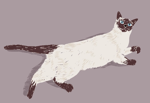 Vector vector illustration of lying domestic siamese cat