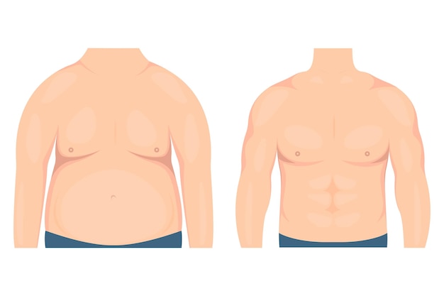 Vector illustration of a man's torso before and after losing weight and exercising.