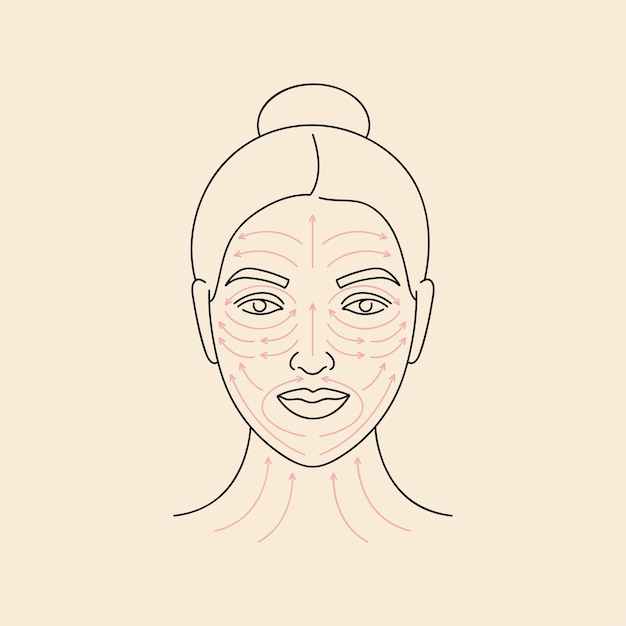 Vector vector illustration method fo face massage. female face with arrow lines. facial beauty treatment.