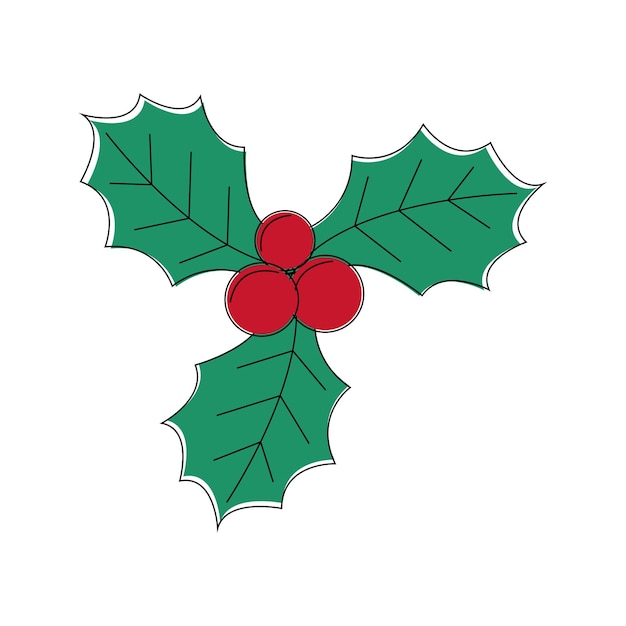 Vector illustration of mistletoe