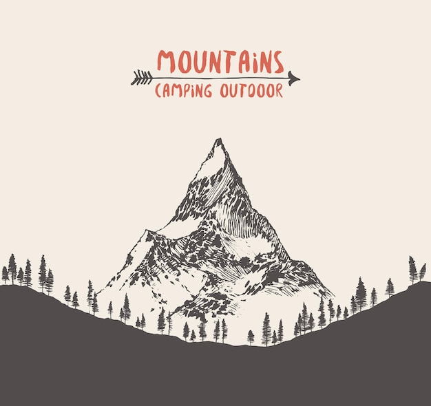 vector illustration of a mountain peak with forest, engraving style, hand drawn