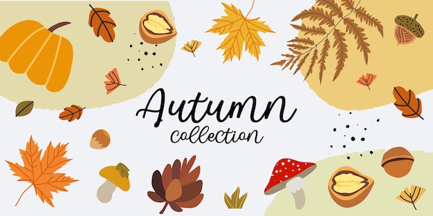 Vector illustration of a new autumn collection, shopping sale or promo poster or web baner layout decorated with floral elements like pine cone, acorn, maple leaves, pumpkin, mushrooms and fern.