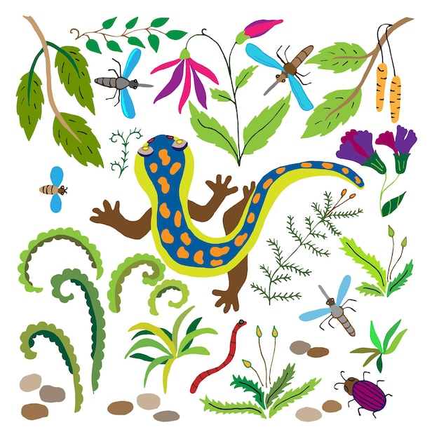 沼地の草の花昆虫に囲まれた漫画風シベリア北部の動物で描かれたイモリトリトンの手のベクトルイラスト蚊ハエバグカードバッグの子供のデザイン