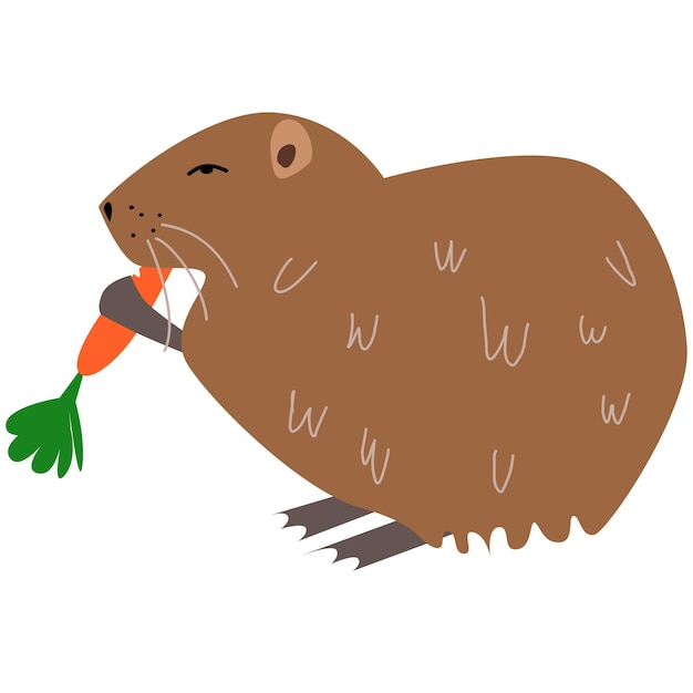 Vector vector illustration of nutria in a flat style