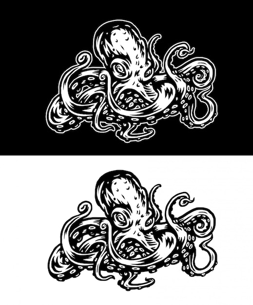 Vector illustration of octopus, isolated