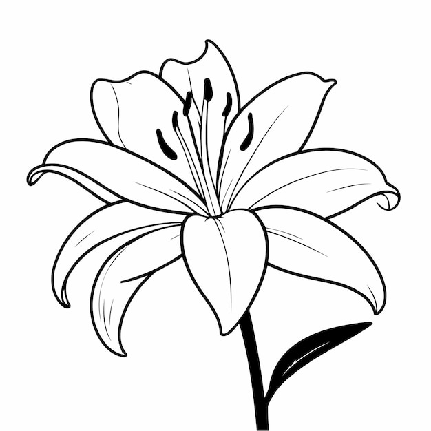 Vector vector illustration of a cute lily drawing for children page