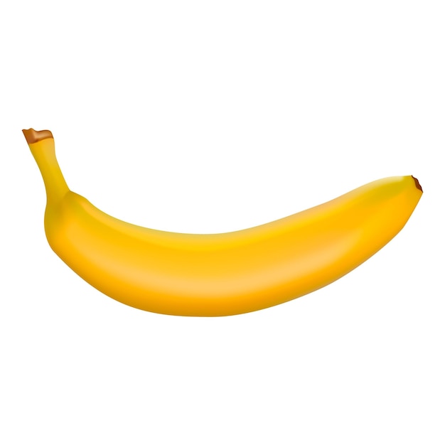 Векторная иллюстрация подробного блестящего желтого банана изолированные фотореалистичные фрукты
