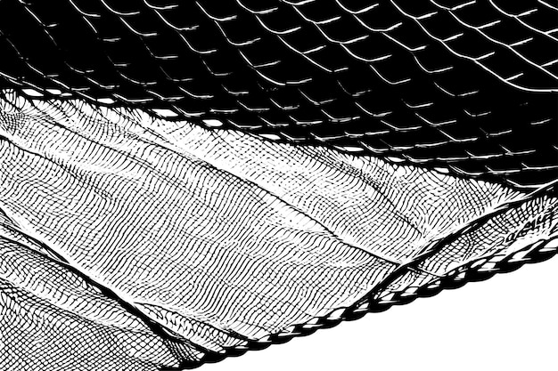 ベクトル 白い上に隔離されたテクスチャー付きの外観で黒で概要された網のベクトルイラスト