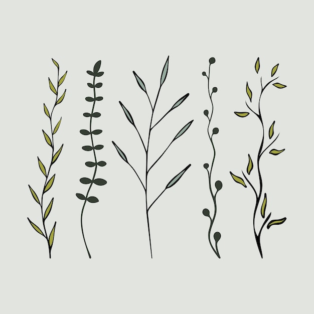 Вектор Векторная иллюстрация набора цветов диких растений на бледно-зеленом фоне