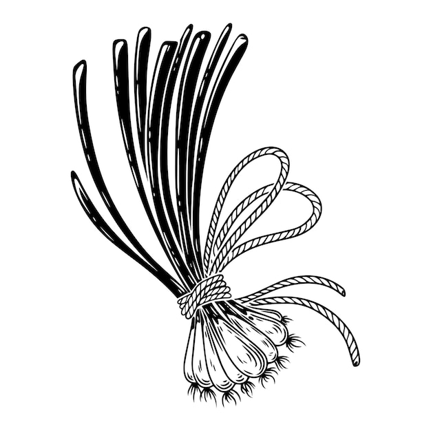 Вектор Векторная иллюстрация связки лука. чернильная линия нарисована вручную.