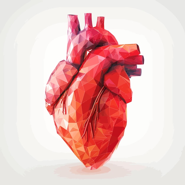 Vector vector_illustration_of_human_heart_with_faceted_low poly