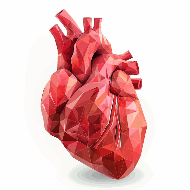 Vector vector_illustration_of_human_heart_with_faceted_low poly