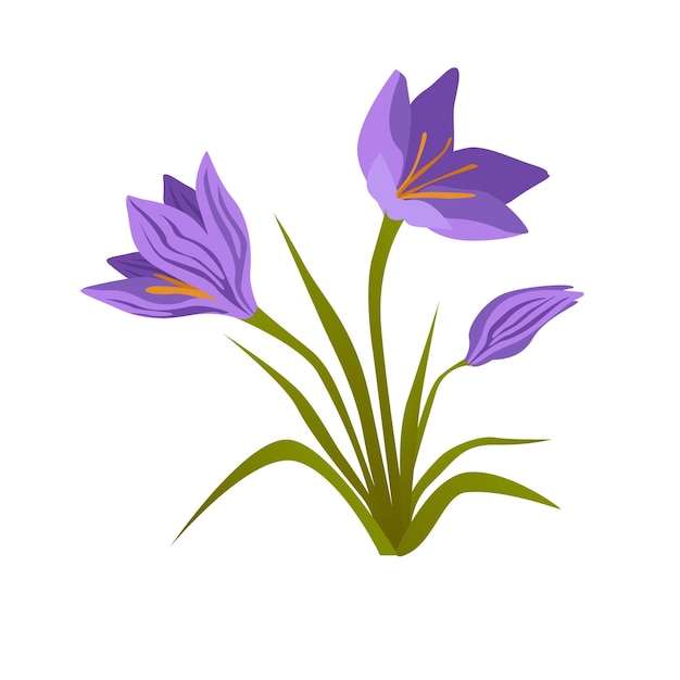 ベクトル アイリスの花のベクトル イラスト