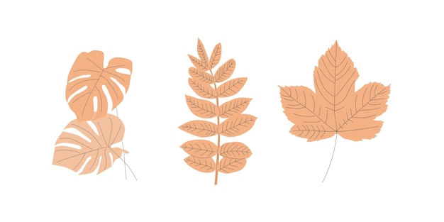 葉の美的ミニマリスト デザイン スタイルのベクトル イラスト