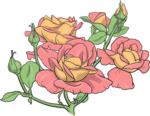 Вектор Векторная иллюстрация цветка розы