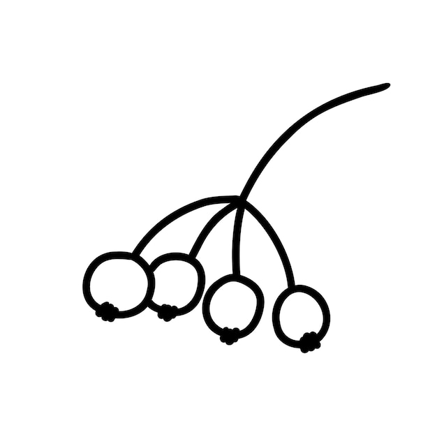 Векторная иллюстрация ягоды рябины ручной рисунок осеннего растения на белом фоне дудл