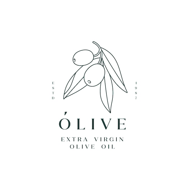 Illustrazione vettoriale stile lineare semplice ramo d'ulivo composizione del logo con olive e tipografia