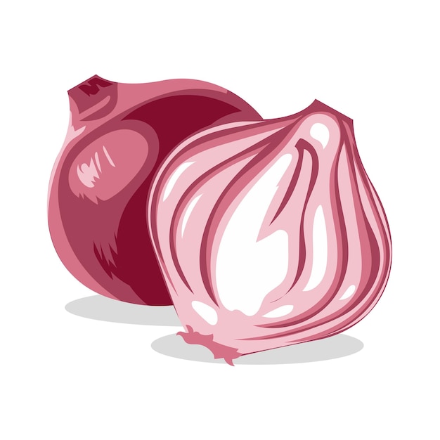 Vector vector illustration onion cut