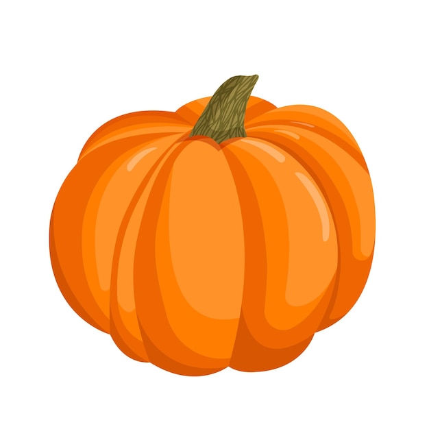 Vector illustration of an orange autumn pumpkin