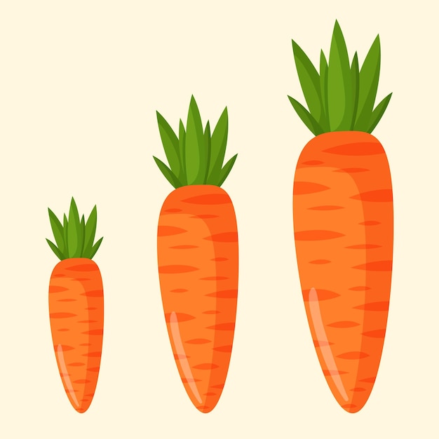 オレンジ色のニンジンのベクトル イラスト 野菜とローフード