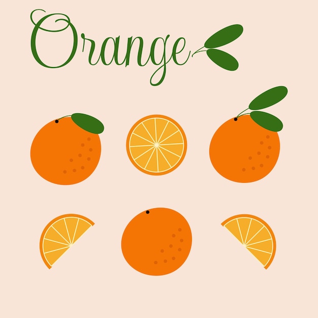 Vector illustration Orange collection in a flat style