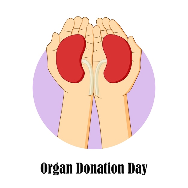 Vector illustration for Organ Donation Day