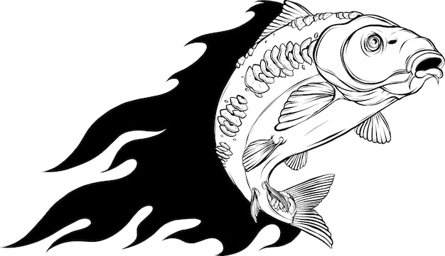 vector illustration of outline Carp fish